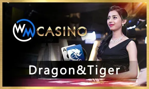 Casino Table Games